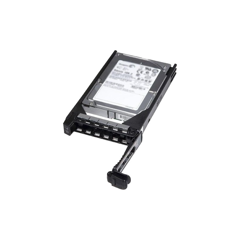 Dell HD 2T NL6 7.2K 3.5 S-MEG E/C Dell HD 2T NL6 7.2K 3.5 S-MEG E/C